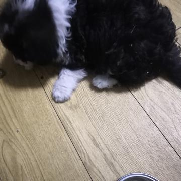 6号小码猿于2019-05-08 21:26发布的图片