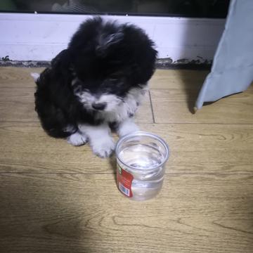6号小码猿于2019-05-08 21:26发布的图片