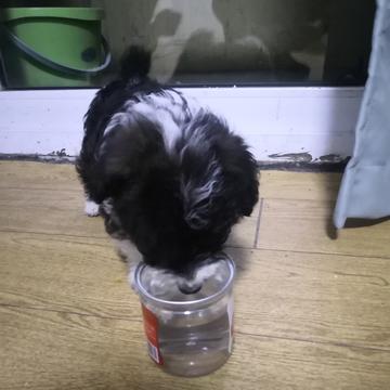 6号小码猿于2019-05-08 21:26发布的图片