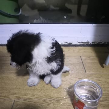 6号小码猿于2019-05-08 21:26发布的图片