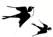 adamxy76136的个人资料头像