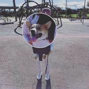 h1_hana的个人资料头像