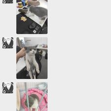 NeXT于2019-05-09 13:39发布的图片