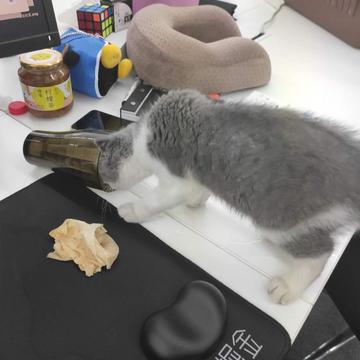 NeXT于2019-05-09 13:39发布的图片