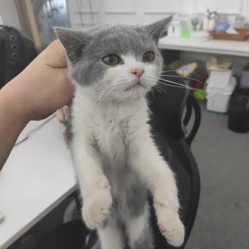 NeXT于2019-05-09 13:39发布的图片