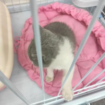 NeXT于2019-05-09 13:39发布的图片