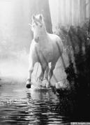 风渡浪影的个人资料头像