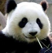 superestZe的个人资料头像