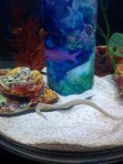 waroom的个人资料头像