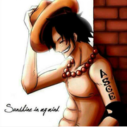 been10146191的个人资料头像