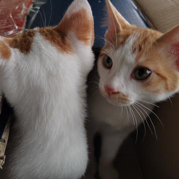 已注销于2019-06-01 09:53发布的图片