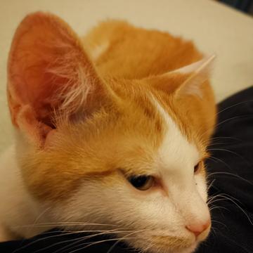 已注销于2019-06-01 09:53发布的图片