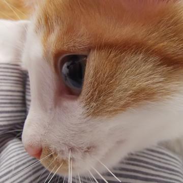 已注销于2019-06-01 09:53发布的图片