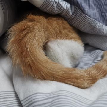 已注销于2019-06-01 09:53发布的图片