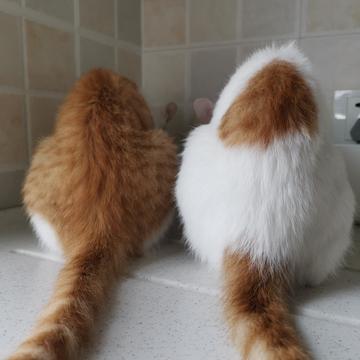 已注销于2019-06-01 09:53发布的图片