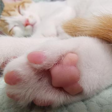 已注销于2019-06-01 09:53发布的图片