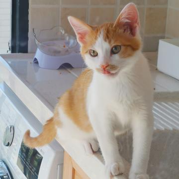 已注销于2019-06-01 09:53发布的图片