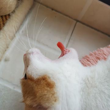 已注销于2019-06-01 09:53发布的图片