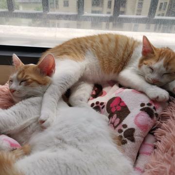 已注销于2019-06-01 09:53发布的图片