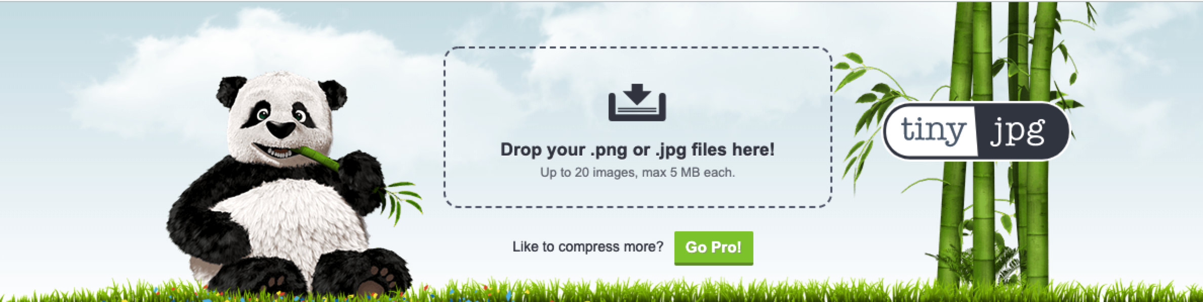 image-20190601145559341