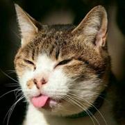 Juliana的个人资料头像