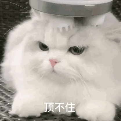 法的空间于2019-06-11 08:11发布的图片
