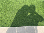 Alvin_yx的个人资料头像