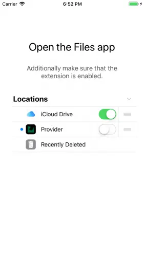 The container app for your File Provider.