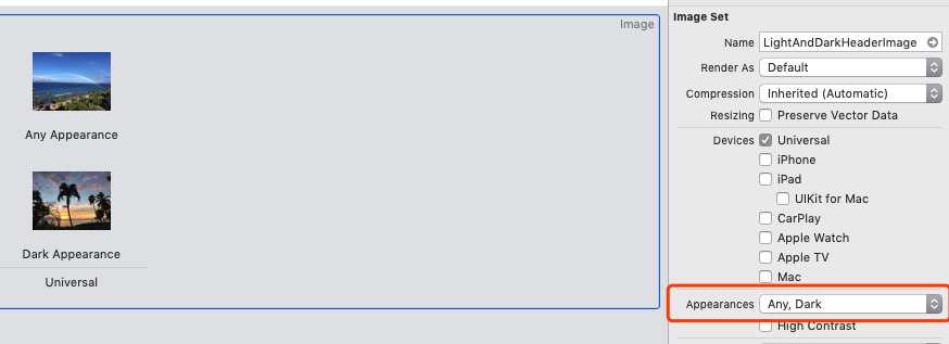 dynamic_image