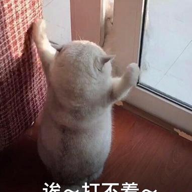 沙雕动图于2019-06-12 15:20发布的图片