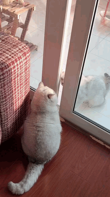 沙雕动图于2019-06-12 15:20发布的图片
