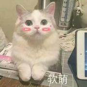 Java开发1年半的个人资料头像