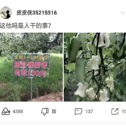 事儿逼的杠精于2019-06-12 17:36发布的图片