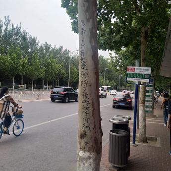 犹如脱缰的野驴于2019-06-13 09:28发布的图片