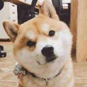 有故事的个人资料头像