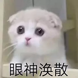 峰瑞nice的个人资料头像