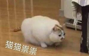 ç«ç«ç¥ç¥.jpg