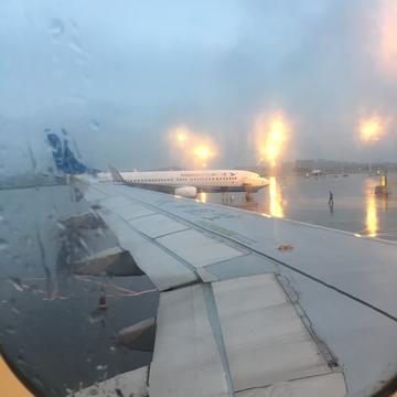 已注销于2019-06-14 08:32发布的图片