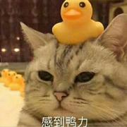 脾气不好别惹我的个人资料头像