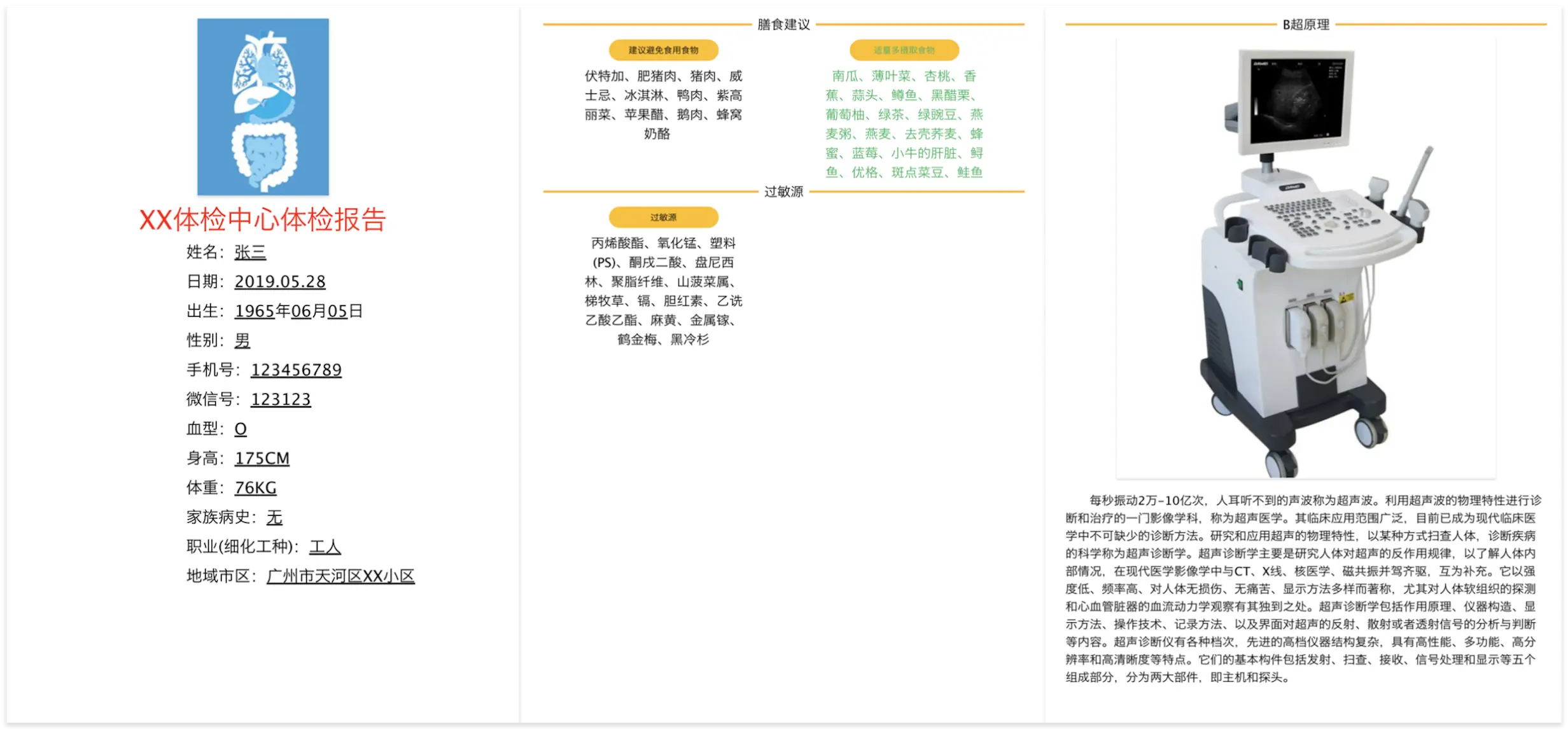 报告样式