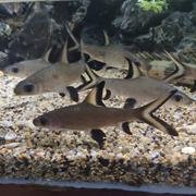 梁少的个人资料头像