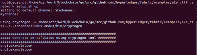 图2.2.4 ./network_setup.sh up 命令