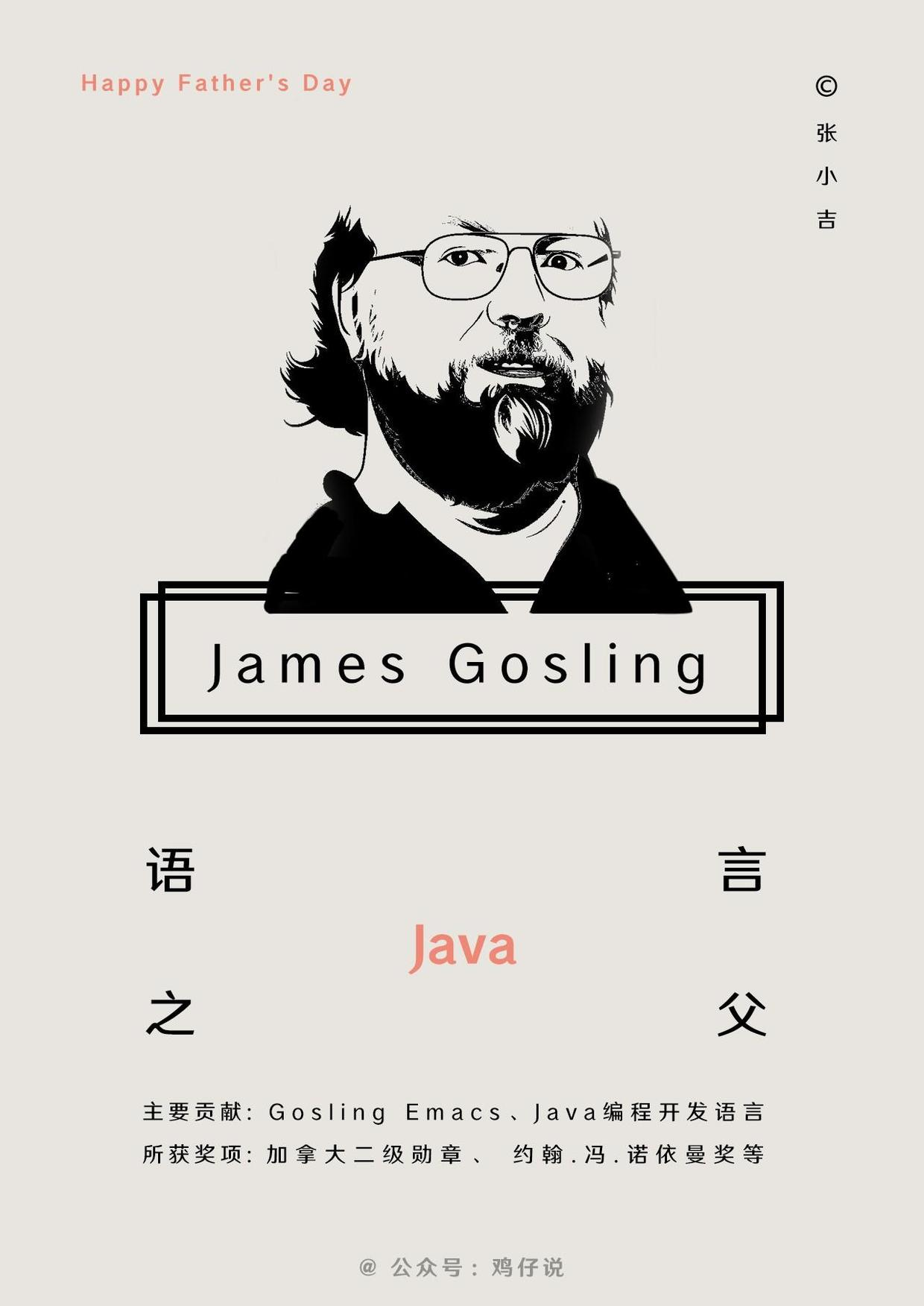 Java 编程语言之父