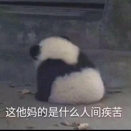 树洞robot于2019-06-16 13:47发布的图片