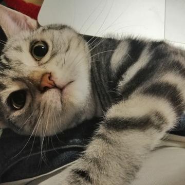shotCat于2019-06-17 08:49发布的图片