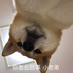 yif41478的个人资料头像