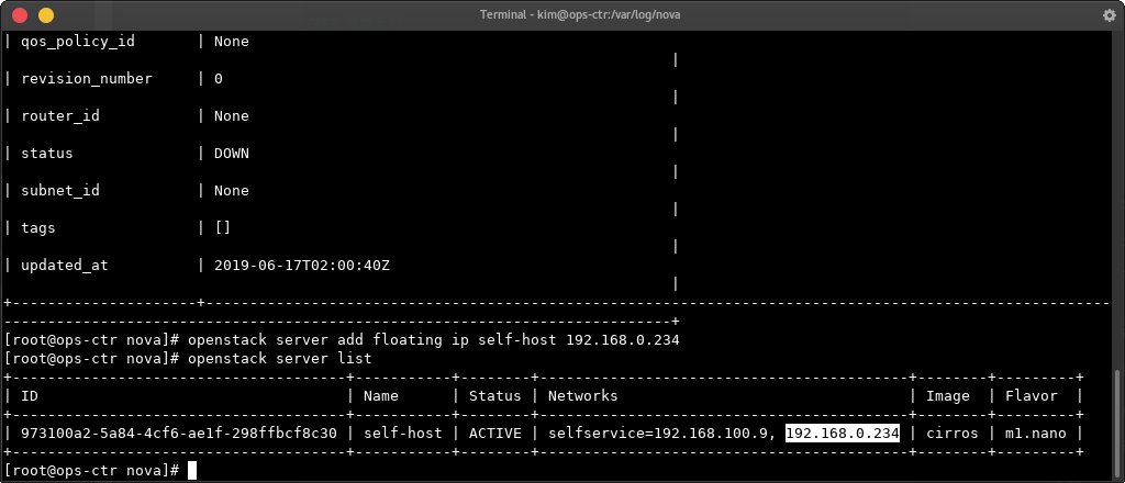 associate-floating-ip