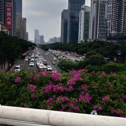 wego_xuchang于2019-06-17 15:50发布的图片