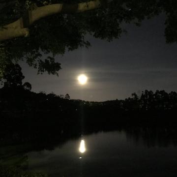 bb老猫于2019-06-18 21:24发布的图片