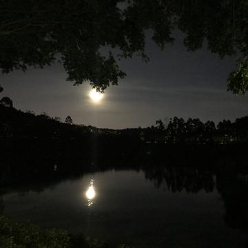 bb老猫于2019-06-18 21:24发布的图片